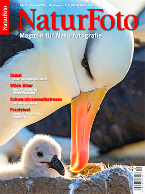 NaturFoto 12/2015